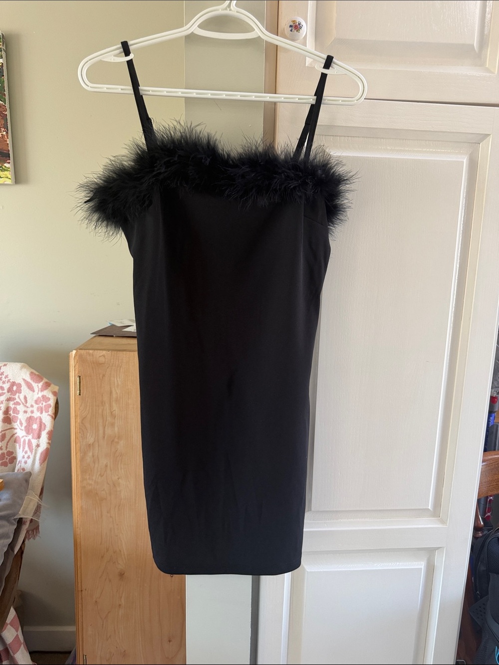 Urban Heritage Black Feather-Trim Mini Dress